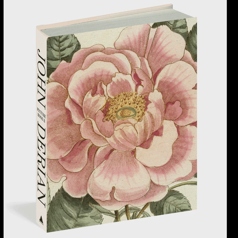 John Derian Picture Book II