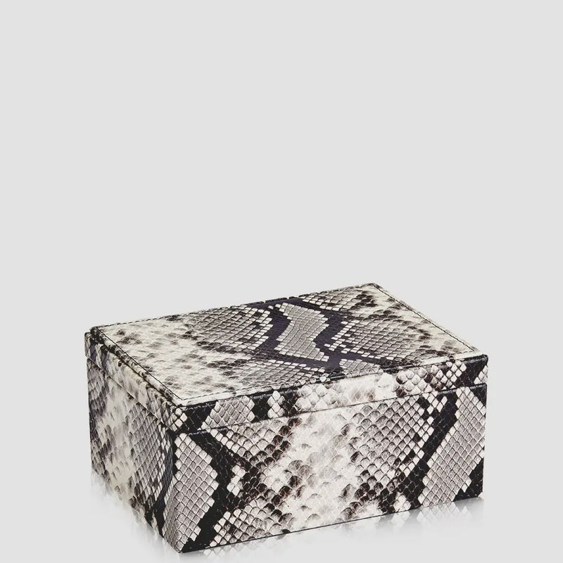 Medium Box in Natural Printed Python Leather